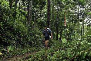 BIB: 
                            <button type="button" onclick="openModal(26282441)" class="btn btn-primary btn-sm float-right btn-popup" data-toggle="modal" data-target=".modal-high-quality">
                        <i class="fas fa-shopping-cart"></i> Add to Cart
                    </button>
                                            <button type="button" onclick="isThisMe(26282441, true)" class="btn btn-success btn-sm float-right btn-popup btn-isme hidden" data-toggle="tooltip" data-placement="bottom" title="นี่คือรูปของคุณใช่ไหม คลิกที่นี่เพื่อเอาเข้าอัลบั้ม">
                        <i class="fas fa-plus"></i> Add to album
                    </button>
                    <button type="button" onclick="isThisMe(26282441, false)" class="btn btn-warning btn-sm float-right btn-popup btn-isnotme hidden">
                        <i class="fas fa-ban"></i> Remove from album
                    </button>