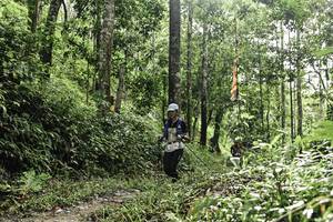 BIB: 
                            <button type="button" onclick="openModal(26283371)" class="btn btn-primary btn-sm float-right btn-popup" data-toggle="modal" data-target=".modal-high-quality">
                        <i class="fas fa-shopping-cart"></i> Add to Cart
                    </button>
                                            <button type="button" onclick="isThisMe(26283371, true)" class="btn btn-success btn-sm float-right btn-popup btn-isme hidden" data-toggle="tooltip" data-placement="bottom" title="นี่คือรูปของคุณใช่ไหม คลิกที่นี่เพื่อเอาเข้าอัลบั้ม">
                        <i class="fas fa-plus"></i> Add to album
                    </button>
                    <button type="button" onclick="isThisMe(26283371, false)" class="btn btn-warning btn-sm float-right btn-popup btn-isnotme hidden">
                        <i class="fas fa-ban"></i> Remove from album
                    </button>