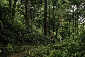 BIB: 
                            <button type="button" onclick="openModal(26285139)" class="btn btn-primary btn-sm float-right btn-popup" data-toggle="modal" data-target=".modal-high-quality">
                        <i class="fas fa-shopping-cart"></i> Add to Cart
                    </button>
                                            <button type="button" onclick="isThisMe(26285139, true)" class="btn btn-success btn-sm float-right btn-popup btn-isme hidden" data-toggle="tooltip" data-placement="bottom" title="นี่คือรูปของคุณใช่ไหม คลิกที่นี่เพื่อเอาเข้าอัลบั้ม">
                        <i class="fas fa-plus"></i> Add to album
                    </button>
                    <button type="button" onclick="isThisMe(26285139, false)" class="btn btn-warning btn-sm float-right btn-popup btn-isnotme hidden">
                        <i class="fas fa-ban"></i> Remove from album
                    </button>