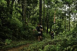 BIB: 
                            <button type="button" onclick="openModal(26284714)" class="btn btn-primary btn-sm float-right btn-popup" data-toggle="modal" data-target=".modal-high-quality">
                        <i class="fas fa-shopping-cart"></i> Add to Cart
                    </button>
                                            <button type="button" onclick="isThisMe(26284714, true)" class="btn btn-success btn-sm float-right btn-popup btn-isme hidden" data-toggle="tooltip" data-placement="bottom" title="นี่คือรูปของคุณใช่ไหม คลิกที่นี่เพื่อเอาเข้าอัลบั้ม">
                        <i class="fas fa-plus"></i> Add to album
                    </button>
                    <button type="button" onclick="isThisMe(26284714, false)" class="btn btn-warning btn-sm float-right btn-popup btn-isnotme hidden">
                        <i class="fas fa-ban"></i> Remove from album
                    </button>