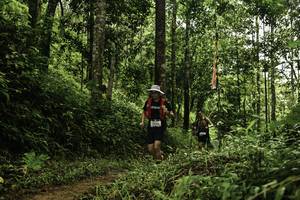 BIB: 
                            <button type="button" onclick="openModal(26284937)" class="btn btn-primary btn-sm float-right btn-popup" data-toggle="modal" data-target=".modal-high-quality">
                        <i class="fas fa-shopping-cart"></i> Add to Cart
                    </button>
                                            <button type="button" onclick="isThisMe(26284937, true)" class="btn btn-success btn-sm float-right btn-popup btn-isme hidden" data-toggle="tooltip" data-placement="bottom" title="นี่คือรูปของคุณใช่ไหม คลิกที่นี่เพื่อเอาเข้าอัลบั้ม">
                        <i class="fas fa-plus"></i> Add to album
                    </button>
                    <button type="button" onclick="isThisMe(26284937, false)" class="btn btn-warning btn-sm float-right btn-popup btn-isnotme hidden">
                        <i class="fas fa-ban"></i> Remove from album
                    </button>