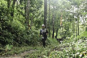 BIB: 
                            <button type="button" onclick="openModal(26283319)" class="btn btn-primary btn-sm float-right btn-popup" data-toggle="modal" data-target=".modal-high-quality">
                        <i class="fas fa-shopping-cart"></i> Add to Cart
                    </button>
                                            <button type="button" onclick="isThisMe(26283319, true)" class="btn btn-success btn-sm float-right btn-popup btn-isme hidden" data-toggle="tooltip" data-placement="bottom" title="นี่คือรูปของคุณใช่ไหม คลิกที่นี่เพื่อเอาเข้าอัลบั้ม">
                        <i class="fas fa-plus"></i> Add to album
                    </button>
                    <button type="button" onclick="isThisMe(26283319, false)" class="btn btn-warning btn-sm float-right btn-popup btn-isnotme hidden">
                        <i class="fas fa-ban"></i> Remove from album
                    </button>