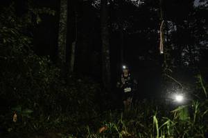 BIB: 
                            <button type="button" onclick="openModal(26281826)" class="btn btn-primary btn-sm float-right btn-popup" data-toggle="modal" data-target=".modal-high-quality">
                        <i class="fas fa-shopping-cart"></i> Add to Cart
                    </button>
                                            <button type="button" onclick="isThisMe(26281826, true)" class="btn btn-success btn-sm float-right btn-popup btn-isme hidden" data-toggle="tooltip" data-placement="bottom" title="นี่คือรูปของคุณใช่ไหม คลิกที่นี่เพื่อเอาเข้าอัลบั้ม">
                        <i class="fas fa-plus"></i> Add to album
                    </button>
                    <button type="button" onclick="isThisMe(26281826, false)" class="btn btn-warning btn-sm float-right btn-popup btn-isnotme hidden">
                        <i class="fas fa-ban"></i> Remove from album
                    </button>