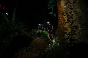 BIB: 
                            <button type="button" onclick="openModal(26382779)" class="btn btn-primary btn-sm float-right btn-popup" data-toggle="modal" data-target=".modal-high-quality">
                        <i class="fas fa-shopping-cart"></i> Add to Cart
                    </button>
                                            <button type="button" onclick="isThisMe(26382779, true)" class="btn btn-success btn-sm float-right btn-popup btn-isme hidden" data-toggle="tooltip" data-placement="bottom" title="นี่คือรูปของคุณใช่ไหม คลิกที่นี่เพื่อเอาเข้าอัลบั้ม">
                        <i class="fas fa-plus"></i> Add to album
                    </button>
                    <button type="button" onclick="isThisMe(26382779, false)" class="btn btn-warning btn-sm float-right btn-popup btn-isnotme hidden">
                        <i class="fas fa-ban"></i> Remove from album
                    </button>