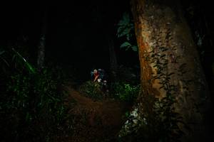 BIB: 
                            <button type="button" onclick="openModal(26383568)" class="btn btn-primary btn-sm float-right btn-popup" data-toggle="modal" data-target=".modal-high-quality">
                        <i class="fas fa-shopping-cart"></i> Add to Cart
                    </button>
                                            <button type="button" onclick="isThisMe(26383568, true)" class="btn btn-success btn-sm float-right btn-popup btn-isme hidden" data-toggle="tooltip" data-placement="bottom" title="นี่คือรูปของคุณใช่ไหม คลิกที่นี่เพื่อเอาเข้าอัลบั้ม">
                        <i class="fas fa-plus"></i> Add to album
                    </button>
                    <button type="button" onclick="isThisMe(26383568, false)" class="btn btn-warning btn-sm float-right btn-popup btn-isnotme hidden">
                        <i class="fas fa-ban"></i> Remove from album
                    </button>