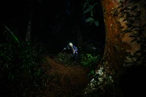 BIB: 
                            <button type="button" onclick="openModal(26383652)" class="btn btn-primary btn-sm float-right btn-popup" data-toggle="modal" data-target=".modal-high-quality">
                        <i class="fas fa-shopping-cart"></i> Add to Cart
                    </button>
                                            <button type="button" onclick="isThisMe(26383652, true)" class="btn btn-success btn-sm float-right btn-popup btn-isme hidden" data-toggle="tooltip" data-placement="bottom" title="นี่คือรูปของคุณใช่ไหม คลิกที่นี่เพื่อเอาเข้าอัลบั้ม">
                        <i class="fas fa-plus"></i> Add to album
                    </button>
                    <button type="button" onclick="isThisMe(26383652, false)" class="btn btn-warning btn-sm float-right btn-popup btn-isnotme hidden">
                        <i class="fas fa-ban"></i> Remove from album
                    </button>