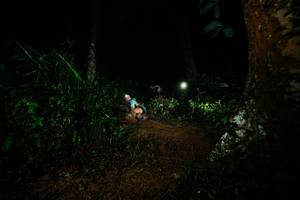 BIB: 
                            <button type="button" onclick="openModal(26382932)" class="btn btn-primary btn-sm float-right btn-popup" data-toggle="modal" data-target=".modal-high-quality">
                        <i class="fas fa-shopping-cart"></i> Add to Cart
                    </button>
                                            <button type="button" onclick="isThisMe(26382932, true)" class="btn btn-success btn-sm float-right btn-popup btn-isme hidden" data-toggle="tooltip" data-placement="bottom" title="นี่คือรูปของคุณใช่ไหม คลิกที่นี่เพื่อเอาเข้าอัลบั้ม">
                        <i class="fas fa-plus"></i> Add to album
                    </button>
                    <button type="button" onclick="isThisMe(26382932, false)" class="btn btn-warning btn-sm float-right btn-popup btn-isnotme hidden">
                        <i class="fas fa-ban"></i> Remove from album
                    </button>