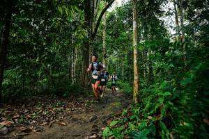 BIB: 
                            <button type="button" onclick="openModal(26361399)" class="btn btn-primary btn-sm float-right btn-popup" data-toggle="modal" data-target=".modal-high-quality">
                        <i class="fas fa-shopping-cart"></i> Add to Cart
                    </button>
                                            <button type="button" onclick="isThisMe(26361399, true)" class="btn btn-success btn-sm float-right btn-popup btn-isme hidden" data-toggle="tooltip" data-placement="bottom" title="นี่คือรูปของคุณใช่ไหม คลิกที่นี่เพื่อเอาเข้าอัลบั้ม">
                        <i class="fas fa-plus"></i> Add to album
                    </button>
                    <button type="button" onclick="isThisMe(26361399, false)" class="btn btn-warning btn-sm float-right btn-popup btn-isnotme hidden">
                        <i class="fas fa-ban"></i> Remove from album
                    </button>