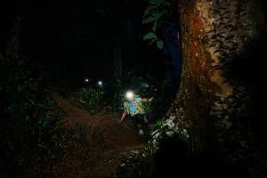 BIB: 
                            <button type="button" onclick="openModal(26383642)" class="btn btn-primary btn-sm float-right btn-popup" data-toggle="modal" data-target=".modal-high-quality">
                        <i class="fas fa-shopping-cart"></i> Add to Cart
                    </button>
                                            <button type="button" onclick="isThisMe(26383642, true)" class="btn btn-success btn-sm float-right btn-popup btn-isme hidden" data-toggle="tooltip" data-placement="bottom" title="นี่คือรูปของคุณใช่ไหม คลิกที่นี่เพื่อเอาเข้าอัลบั้ม">
                        <i class="fas fa-plus"></i> Add to album
                    </button>
                    <button type="button" onclick="isThisMe(26383642, false)" class="btn btn-warning btn-sm float-right btn-popup btn-isnotme hidden">
                        <i class="fas fa-ban"></i> Remove from album
                    </button>