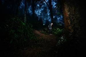 BIB: 
                            <button type="button" onclick="openModal(26383905)" class="btn btn-primary btn-sm float-right btn-popup" data-toggle="modal" data-target=".modal-high-quality">
                        <i class="fas fa-shopping-cart"></i> Add to Cart
                    </button>
                                            <button type="button" onclick="isThisMe(26383905, true)" class="btn btn-success btn-sm float-right btn-popup btn-isme hidden" data-toggle="tooltip" data-placement="bottom" title="นี่คือรูปของคุณใช่ไหม คลิกที่นี่เพื่อเอาเข้าอัลบั้ม">
                        <i class="fas fa-plus"></i> Add to album
                    </button>
                    <button type="button" onclick="isThisMe(26383905, false)" class="btn btn-warning btn-sm float-right btn-popup btn-isnotme hidden">
                        <i class="fas fa-ban"></i> Remove from album
                    </button>