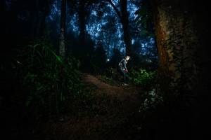 BIB: 
                            <button type="button" onclick="openModal(26383906)" class="btn btn-primary btn-sm float-right btn-popup" data-toggle="modal" data-target=".modal-high-quality">
                        <i class="fas fa-shopping-cart"></i> Add to Cart
                    </button>
                                            <button type="button" onclick="isThisMe(26383906, true)" class="btn btn-success btn-sm float-right btn-popup btn-isme hidden" data-toggle="tooltip" data-placement="bottom" title="นี่คือรูปของคุณใช่ไหม คลิกที่นี่เพื่อเอาเข้าอัลบั้ม">
                        <i class="fas fa-plus"></i> Add to album
                    </button>
                    <button type="button" onclick="isThisMe(26383906, false)" class="btn btn-warning btn-sm float-right btn-popup btn-isnotme hidden">
                        <i class="fas fa-ban"></i> Remove from album
                    </button>