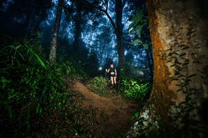 BIB: 
                            <button type="button" onclick="openModal(26383841)" class="btn btn-primary btn-sm float-right btn-popup" data-toggle="modal" data-target=".modal-high-quality">
                        <i class="fas fa-shopping-cart"></i> Add to Cart
                    </button>
                                            <button type="button" onclick="isThisMe(26383841, true)" class="btn btn-success btn-sm float-right btn-popup btn-isme hidden" data-toggle="tooltip" data-placement="bottom" title="นี่คือรูปของคุณใช่ไหม คลิกที่นี่เพื่อเอาเข้าอัลบั้ม">
                        <i class="fas fa-plus"></i> Add to album
                    </button>
                    <button type="button" onclick="isThisMe(26383841, false)" class="btn btn-warning btn-sm float-right btn-popup btn-isnotme hidden">
                        <i class="fas fa-ban"></i> Remove from album
                    </button>