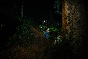 BIB: 
                            <button type="button" onclick="openModal(26383104)" class="btn btn-primary btn-sm float-right btn-popup" data-toggle="modal" data-target=".modal-high-quality">
                        <i class="fas fa-shopping-cart"></i> Add to Cart
                    </button>
                                            <button type="button" onclick="isThisMe(26383104, true)" class="btn btn-success btn-sm float-right btn-popup btn-isme hidden" data-toggle="tooltip" data-placement="bottom" title="นี่คือรูปของคุณใช่ไหม คลิกที่นี่เพื่อเอาเข้าอัลบั้ม">
                        <i class="fas fa-plus"></i> Add to album
                    </button>
                    <button type="button" onclick="isThisMe(26383104, false)" class="btn btn-warning btn-sm float-right btn-popup btn-isnotme hidden">
                        <i class="fas fa-ban"></i> Remove from album
                    </button>