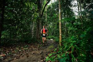 BIB: 
                            <button type="button" onclick="openModal(26361443)" class="btn btn-primary btn-sm float-right btn-popup" data-toggle="modal" data-target=".modal-high-quality">
                        <i class="fas fa-shopping-cart"></i> Add to Cart
                    </button>
                                            <button type="button" onclick="isThisMe(26361443, true)" class="btn btn-success btn-sm float-right btn-popup btn-isme hidden" data-toggle="tooltip" data-placement="bottom" title="นี่คือรูปของคุณใช่ไหม คลิกที่นี่เพื่อเอาเข้าอัลบั้ม">
                        <i class="fas fa-plus"></i> Add to album
                    </button>
                    <button type="button" onclick="isThisMe(26361443, false)" class="btn btn-warning btn-sm float-right btn-popup btn-isnotme hidden">
                        <i class="fas fa-ban"></i> Remove from album
                    </button>