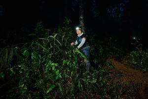 BIB: 
                            <button type="button" onclick="openModal(26383691)" class="btn btn-primary btn-sm float-right btn-popup" data-toggle="modal" data-target=".modal-high-quality">
                        <i class="fas fa-shopping-cart"></i> Add to Cart
                    </button>
                                            <button type="button" onclick="isThisMe(26383691, true)" class="btn btn-success btn-sm float-right btn-popup btn-isme hidden" data-toggle="tooltip" data-placement="bottom" title="นี่คือรูปของคุณใช่ไหม คลิกที่นี่เพื่อเอาเข้าอัลบั้ม">
                        <i class="fas fa-plus"></i> Add to album
                    </button>
                    <button type="button" onclick="isThisMe(26383691, false)" class="btn btn-warning btn-sm float-right btn-popup btn-isnotme hidden">
                        <i class="fas fa-ban"></i> Remove from album
                    </button>