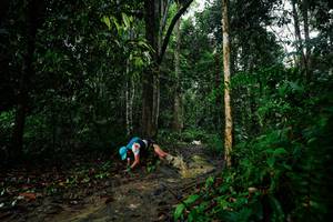 BIB: 
                            <button type="button" onclick="openModal(26361653)" class="btn btn-primary btn-sm float-right btn-popup" data-toggle="modal" data-target=".modal-high-quality">
                        <i class="fas fa-shopping-cart"></i> Add to Cart
                    </button>
                                            <button type="button" onclick="isThisMe(26361653, true)" class="btn btn-success btn-sm float-right btn-popup btn-isme hidden" data-toggle="tooltip" data-placement="bottom" title="นี่คือรูปของคุณใช่ไหม คลิกที่นี่เพื่อเอาเข้าอัลบั้ม">
                        <i class="fas fa-plus"></i> Add to album
                    </button>
                    <button type="button" onclick="isThisMe(26361653, false)" class="btn btn-warning btn-sm float-right btn-popup btn-isnotme hidden">
                        <i class="fas fa-ban"></i> Remove from album
                    </button>