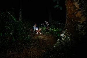 BIB: 
                            <button type="button" onclick="openModal(26382973)" class="btn btn-primary btn-sm float-right btn-popup" data-toggle="modal" data-target=".modal-high-quality">
                        <i class="fas fa-shopping-cart"></i> Add to Cart
                    </button>
                                            <button type="button" onclick="isThisMe(26382973, true)" class="btn btn-success btn-sm float-right btn-popup btn-isme hidden" data-toggle="tooltip" data-placement="bottom" title="นี่คือรูปของคุณใช่ไหม คลิกที่นี่เพื่อเอาเข้าอัลบั้ม">
                        <i class="fas fa-plus"></i> Add to album
                    </button>
                    <button type="button" onclick="isThisMe(26382973, false)" class="btn btn-warning btn-sm float-right btn-popup btn-isnotme hidden">
                        <i class="fas fa-ban"></i> Remove from album
                    </button>