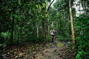 BIB: 
                            <button type="button" onclick="openModal(26361852)" class="btn btn-primary btn-sm float-right btn-popup" data-toggle="modal" data-target=".modal-high-quality">
                        <i class="fas fa-shopping-cart"></i> Add to Cart
                    </button>
                                            <button type="button" onclick="isThisMe(26361852, true)" class="btn btn-success btn-sm float-right btn-popup btn-isme hidden" data-toggle="tooltip" data-placement="bottom" title="นี่คือรูปของคุณใช่ไหม คลิกที่นี่เพื่อเอาเข้าอัลบั้ม">
                        <i class="fas fa-plus"></i> Add to album
                    </button>
                    <button type="button" onclick="isThisMe(26361852, false)" class="btn btn-warning btn-sm float-right btn-popup btn-isnotme hidden">
                        <i class="fas fa-ban"></i> Remove from album
                    </button>