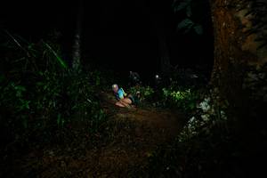 BIB: 
                            <button type="button" onclick="openModal(26382948)" class="btn btn-primary btn-sm float-right btn-popup" data-toggle="modal" data-target=".modal-high-quality">
                        <i class="fas fa-shopping-cart"></i> Add to Cart
                    </button>
                                            <button type="button" onclick="isThisMe(26382948, true)" class="btn btn-success btn-sm float-right btn-popup btn-isme hidden" data-toggle="tooltip" data-placement="bottom" title="นี่คือรูปของคุณใช่ไหม คลิกที่นี่เพื่อเอาเข้าอัลบั้ม">
                        <i class="fas fa-plus"></i> Add to album
                    </button>
                    <button type="button" onclick="isThisMe(26382948, false)" class="btn btn-warning btn-sm float-right btn-popup btn-isnotme hidden">
                        <i class="fas fa-ban"></i> Remove from album
                    </button>