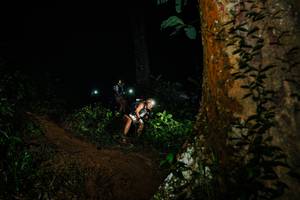 BIB: 
                            <button type="button" onclick="openModal(26383382)" class="btn btn-primary btn-sm float-right btn-popup" data-toggle="modal" data-target=".modal-high-quality">
                        <i class="fas fa-shopping-cart"></i> Add to Cart
                    </button>
                                            <button type="button" onclick="isThisMe(26383382, true)" class="btn btn-success btn-sm float-right btn-popup btn-isme hidden" data-toggle="tooltip" data-placement="bottom" title="นี่คือรูปของคุณใช่ไหม คลิกที่นี่เพื่อเอาเข้าอัลบั้ม">
                        <i class="fas fa-plus"></i> Add to album
                    </button>
                    <button type="button" onclick="isThisMe(26383382, false)" class="btn btn-warning btn-sm float-right btn-popup btn-isnotme hidden">
                        <i class="fas fa-ban"></i> Remove from album
                    </button>