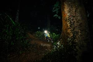 BIB: 
                            <button type="button" onclick="openModal(26383641)" class="btn btn-primary btn-sm float-right btn-popup" data-toggle="modal" data-target=".modal-high-quality">
                        <i class="fas fa-shopping-cart"></i> Add to Cart
                    </button>
                                            <button type="button" onclick="isThisMe(26383641, true)" class="btn btn-success btn-sm float-right btn-popup btn-isme hidden" data-toggle="tooltip" data-placement="bottom" title="นี่คือรูปของคุณใช่ไหม คลิกที่นี่เพื่อเอาเข้าอัลบั้ม">
                        <i class="fas fa-plus"></i> Add to album
                    </button>
                    <button type="button" onclick="isThisMe(26383641, false)" class="btn btn-warning btn-sm float-right btn-popup btn-isnotme hidden">
                        <i class="fas fa-ban"></i> Remove from album
                    </button>