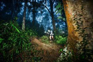 BIB: 
                            <button type="button" onclick="openModal(26383791)" class="btn btn-primary btn-sm float-right btn-popup" data-toggle="modal" data-target=".modal-high-quality">
                        <i class="fas fa-shopping-cart"></i> Add to Cart
                    </button>
                                            <button type="button" onclick="isThisMe(26383791, true)" class="btn btn-success btn-sm float-right btn-popup btn-isme hidden" data-toggle="tooltip" data-placement="bottom" title="นี่คือรูปของคุณใช่ไหม คลิกที่นี่เพื่อเอาเข้าอัลบั้ม">
                        <i class="fas fa-plus"></i> Add to album
                    </button>
                    <button type="button" onclick="isThisMe(26383791, false)" class="btn btn-warning btn-sm float-right btn-popup btn-isnotme hidden">
                        <i class="fas fa-ban"></i> Remove from album
                    </button>