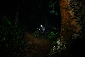 BIB: 
                            <button type="button" onclick="openModal(26383649)" class="btn btn-primary btn-sm float-right btn-popup" data-toggle="modal" data-target=".modal-high-quality">
                        <i class="fas fa-shopping-cart"></i> Add to Cart
                    </button>
                                            <button type="button" onclick="isThisMe(26383649, true)" class="btn btn-success btn-sm float-right btn-popup btn-isme hidden" data-toggle="tooltip" data-placement="bottom" title="นี่คือรูปของคุณใช่ไหม คลิกที่นี่เพื่อเอาเข้าอัลบั้ม">
                        <i class="fas fa-plus"></i> Add to album
                    </button>
                    <button type="button" onclick="isThisMe(26383649, false)" class="btn btn-warning btn-sm float-right btn-popup btn-isnotme hidden">
                        <i class="fas fa-ban"></i> Remove from album
                    </button>