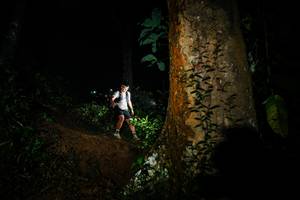 BIB: 
                            <button type="button" onclick="openModal(26382994)" class="btn btn-primary btn-sm float-right btn-popup" data-toggle="modal" data-target=".modal-high-quality">
                        <i class="fas fa-shopping-cart"></i> Add to Cart
                    </button>
                                            <button type="button" onclick="isThisMe(26382994, true)" class="btn btn-success btn-sm float-right btn-popup btn-isme hidden" data-toggle="tooltip" data-placement="bottom" title="นี่คือรูปของคุณใช่ไหม คลิกที่นี่เพื่อเอาเข้าอัลบั้ม">
                        <i class="fas fa-plus"></i> Add to album
                    </button>
                    <button type="button" onclick="isThisMe(26382994, false)" class="btn btn-warning btn-sm float-right btn-popup btn-isnotme hidden">
                        <i class="fas fa-ban"></i> Remove from album
                    </button>