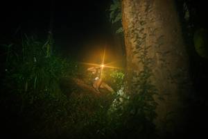 BIB: 
                            <button type="button" onclick="openModal(26381245)" class="btn btn-primary btn-sm float-right btn-popup" data-toggle="modal" data-target=".modal-high-quality">
                        <i class="fas fa-shopping-cart"></i> Add to Cart
                    </button>
                                            <button type="button" onclick="isThisMe(26381245, true)" class="btn btn-success btn-sm float-right btn-popup btn-isme hidden" data-toggle="tooltip" data-placement="bottom" title="นี่คือรูปของคุณใช่ไหม คลิกที่นี่เพื่อเอาเข้าอัลบั้ม">
                        <i class="fas fa-plus"></i> Add to album
                    </button>
                    <button type="button" onclick="isThisMe(26381245, false)" class="btn btn-warning btn-sm float-right btn-popup btn-isnotme hidden">
                        <i class="fas fa-ban"></i> Remove from album
                    </button>