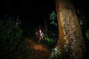 BIB: 
                            <button type="button" onclick="openModal(26382373)" class="btn btn-primary btn-sm float-right btn-popup" data-toggle="modal" data-target=".modal-high-quality">
                        <i class="fas fa-shopping-cart"></i> Add to Cart
                    </button>
                                            <button type="button" onclick="isThisMe(26382373, true)" class="btn btn-success btn-sm float-right btn-popup btn-isme hidden" data-toggle="tooltip" data-placement="bottom" title="นี่คือรูปของคุณใช่ไหม คลิกที่นี่เพื่อเอาเข้าอัลบั้ม">
                        <i class="fas fa-plus"></i> Add to album
                    </button>
                    <button type="button" onclick="isThisMe(26382373, false)" class="btn btn-warning btn-sm float-right btn-popup btn-isnotme hidden">
                        <i class="fas fa-ban"></i> Remove from album
                    </button>