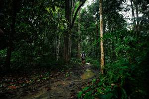 BIB: 
                            <button type="button" onclick="openModal(26361638)" class="btn btn-primary btn-sm float-right btn-popup" data-toggle="modal" data-target=".modal-high-quality">
                        <i class="fas fa-shopping-cart"></i> Add to Cart
                    </button>
                                            <button type="button" onclick="isThisMe(26361638, true)" class="btn btn-success btn-sm float-right btn-popup btn-isme hidden" data-toggle="tooltip" data-placement="bottom" title="นี่คือรูปของคุณใช่ไหม คลิกที่นี่เพื่อเอาเข้าอัลบั้ม">
                        <i class="fas fa-plus"></i> Add to album
                    </button>
                    <button type="button" onclick="isThisMe(26361638, false)" class="btn btn-warning btn-sm float-right btn-popup btn-isnotme hidden">
                        <i class="fas fa-ban"></i> Remove from album
                    </button>