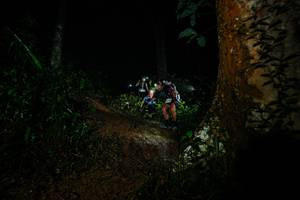 BIB: 
                            <button type="button" onclick="openModal(26383185)" class="btn btn-primary btn-sm float-right btn-popup" data-toggle="modal" data-target=".modal-high-quality">
                        <i class="fas fa-shopping-cart"></i> Add to Cart
                    </button>
                                            <button type="button" onclick="isThisMe(26383185, true)" class="btn btn-success btn-sm float-right btn-popup btn-isme hidden" data-toggle="tooltip" data-placement="bottom" title="นี่คือรูปของคุณใช่ไหม คลิกที่นี่เพื่อเอาเข้าอัลบั้ม">
                        <i class="fas fa-plus"></i> Add to album
                    </button>
                    <button type="button" onclick="isThisMe(26383185, false)" class="btn btn-warning btn-sm float-right btn-popup btn-isnotme hidden">
                        <i class="fas fa-ban"></i> Remove from album
                    </button>