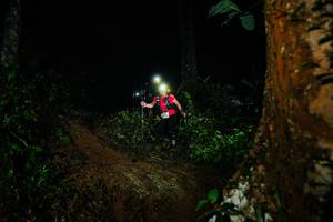 BIB: 
                            <button type="button" onclick="openModal(26383450)" class="btn btn-primary btn-sm float-right btn-popup" data-toggle="modal" data-target=".modal-high-quality">
                        <i class="fas fa-shopping-cart"></i> Add to Cart
                    </button>
                                            <button type="button" onclick="isThisMe(26383450, true)" class="btn btn-success btn-sm float-right btn-popup btn-isme hidden" data-toggle="tooltip" data-placement="bottom" title="นี่คือรูปของคุณใช่ไหม คลิกที่นี่เพื่อเอาเข้าอัลบั้ม">
                        <i class="fas fa-plus"></i> Add to album
                    </button>
                    <button type="button" onclick="isThisMe(26383450, false)" class="btn btn-warning btn-sm float-right btn-popup btn-isnotme hidden">
                        <i class="fas fa-ban"></i> Remove from album
                    </button>