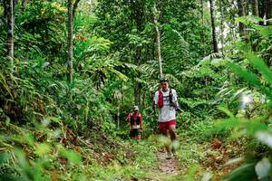 BIB: 
                            <button type="button" onclick="openModal(26364613)" class="btn btn-primary btn-sm float-right btn-popup" data-toggle="modal" data-target=".modal-high-quality">
                        <i class="fas fa-shopping-cart"></i> Add to Cart
                    </button>
                                            <button type="button" onclick="isThisMe(26364613, true)" class="btn btn-success btn-sm float-right btn-popup btn-isme hidden" data-toggle="tooltip" data-placement="bottom" title="นี่คือรูปของคุณใช่ไหม คลิกที่นี่เพื่อเอาเข้าอัลบั้ม">
                        <i class="fas fa-plus"></i> Add to album
                    </button>
                    <button type="button" onclick="isThisMe(26364613, false)" class="btn btn-warning btn-sm float-right btn-popup btn-isnotme hidden">
                        <i class="fas fa-ban"></i> Remove from album
                    </button>