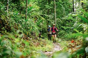 BIB: 
                            <button type="button" onclick="openModal(26365154)" class="btn btn-primary btn-sm float-right btn-popup" data-toggle="modal" data-target=".modal-high-quality">
                        <i class="fas fa-shopping-cart"></i> Add to Cart
                    </button>
                                            <button type="button" onclick="isThisMe(26365154, true)" class="btn btn-success btn-sm float-right btn-popup btn-isme hidden" data-toggle="tooltip" data-placement="bottom" title="นี่คือรูปของคุณใช่ไหม คลิกที่นี่เพื่อเอาเข้าอัลบั้ม">
                        <i class="fas fa-plus"></i> Add to album
                    </button>
                    <button type="button" onclick="isThisMe(26365154, false)" class="btn btn-warning btn-sm float-right btn-popup btn-isnotme hidden">
                        <i class="fas fa-ban"></i> Remove from album
                    </button>