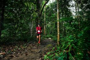 BIB: 
                            <button type="button" onclick="openModal(26361424)" class="btn btn-primary btn-sm float-right btn-popup" data-toggle="modal" data-target=".modal-high-quality">
                        <i class="fas fa-shopping-cart"></i> Add to Cart
                    </button>
                                            <button type="button" onclick="isThisMe(26361424, true)" class="btn btn-success btn-sm float-right btn-popup btn-isme hidden" data-toggle="tooltip" data-placement="bottom" title="นี่คือรูปของคุณใช่ไหม คลิกที่นี่เพื่อเอาเข้าอัลบั้ม">
                        <i class="fas fa-plus"></i> Add to album
                    </button>
                    <button type="button" onclick="isThisMe(26361424, false)" class="btn btn-warning btn-sm float-right btn-popup btn-isnotme hidden">
                        <i class="fas fa-ban"></i> Remove from album
                    </button>