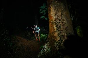 BIB: 
                            <button type="button" onclick="openModal(26383548)" class="btn btn-primary btn-sm float-right btn-popup" data-toggle="modal" data-target=".modal-high-quality">
                        <i class="fas fa-shopping-cart"></i> Add to Cart
                    </button>
                                            <button type="button" onclick="isThisMe(26383548, true)" class="btn btn-success btn-sm float-right btn-popup btn-isme hidden" data-toggle="tooltip" data-placement="bottom" title="นี่คือรูปของคุณใช่ไหม คลิกที่นี่เพื่อเอาเข้าอัลบั้ม">
                        <i class="fas fa-plus"></i> Add to album
                    </button>
                    <button type="button" onclick="isThisMe(26383548, false)" class="btn btn-warning btn-sm float-right btn-popup btn-isnotme hidden">
                        <i class="fas fa-ban"></i> Remove from album
                    </button>