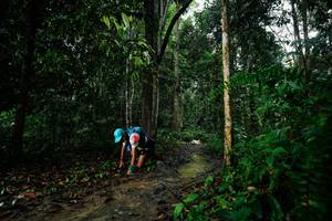 BIB: 
                            <button type="button" onclick="openModal(26361655)" class="btn btn-primary btn-sm float-right btn-popup" data-toggle="modal" data-target=".modal-high-quality">
                        <i class="fas fa-shopping-cart"></i> Add to Cart
                    </button>
                                            <button type="button" onclick="isThisMe(26361655, true)" class="btn btn-success btn-sm float-right btn-popup btn-isme hidden" data-toggle="tooltip" data-placement="bottom" title="นี่คือรูปของคุณใช่ไหม คลิกที่นี่เพื่อเอาเข้าอัลบั้ม">
                        <i class="fas fa-plus"></i> Add to album
                    </button>
                    <button type="button" onclick="isThisMe(26361655, false)" class="btn btn-warning btn-sm float-right btn-popup btn-isnotme hidden">
                        <i class="fas fa-ban"></i> Remove from album
                    </button>