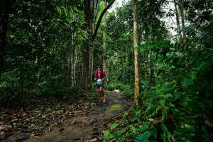 BIB: 
                            <button type="button" onclick="openModal(26361463)" class="btn btn-primary btn-sm float-right btn-popup" data-toggle="modal" data-target=".modal-high-quality">
                        <i class="fas fa-shopping-cart"></i> Add to Cart
                    </button>
                                            <button type="button" onclick="isThisMe(26361463, true)" class="btn btn-success btn-sm float-right btn-popup btn-isme hidden" data-toggle="tooltip" data-placement="bottom" title="นี่คือรูปของคุณใช่ไหม คลิกที่นี่เพื่อเอาเข้าอัลบั้ม">
                        <i class="fas fa-plus"></i> Add to album
                    </button>
                    <button type="button" onclick="isThisMe(26361463, false)" class="btn btn-warning btn-sm float-right btn-popup btn-isnotme hidden">
                        <i class="fas fa-ban"></i> Remove from album
                    </button>