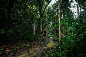 BIB: 
                            <button type="button" onclick="openModal(26361558)" class="btn btn-primary btn-sm float-right btn-popup" data-toggle="modal" data-target=".modal-high-quality">
                        <i class="fas fa-shopping-cart"></i> Add to Cart
                    </button>
                                            <button type="button" onclick="isThisMe(26361558, true)" class="btn btn-success btn-sm float-right btn-popup btn-isme hidden" data-toggle="tooltip" data-placement="bottom" title="นี่คือรูปของคุณใช่ไหม คลิกที่นี่เพื่อเอาเข้าอัลบั้ม">
                        <i class="fas fa-plus"></i> Add to album
                    </button>
                    <button type="button" onclick="isThisMe(26361558, false)" class="btn btn-warning btn-sm float-right btn-popup btn-isnotme hidden">
                        <i class="fas fa-ban"></i> Remove from album
                    </button>