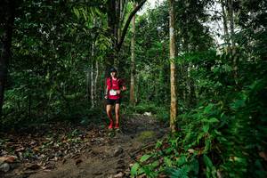 BIB: 
                            <button type="button" onclick="openModal(26361426)" class="btn btn-primary btn-sm float-right btn-popup" data-toggle="modal" data-target=".modal-high-quality">
                        <i class="fas fa-shopping-cart"></i> Add to Cart
                    </button>
                                            <button type="button" onclick="isThisMe(26361426, true)" class="btn btn-success btn-sm float-right btn-popup btn-isme hidden" data-toggle="tooltip" data-placement="bottom" title="นี่คือรูปของคุณใช่ไหม คลิกที่นี่เพื่อเอาเข้าอัลบั้ม">
                        <i class="fas fa-plus"></i> Add to album
                    </button>
                    <button type="button" onclick="isThisMe(26361426, false)" class="btn btn-warning btn-sm float-right btn-popup btn-isnotme hidden">
                        <i class="fas fa-ban"></i> Remove from album
                    </button>