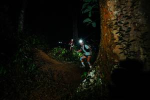 BIB: 
                            <button type="button" onclick="openModal(26382854)" class="btn btn-primary btn-sm float-right btn-popup" data-toggle="modal" data-target=".modal-high-quality">
                        <i class="fas fa-shopping-cart"></i> Add to Cart
                    </button>
                                            <button type="button" onclick="isThisMe(26382854, true)" class="btn btn-success btn-sm float-right btn-popup btn-isme hidden" data-toggle="tooltip" data-placement="bottom" title="นี่คือรูปของคุณใช่ไหม คลิกที่นี่เพื่อเอาเข้าอัลบั้ม">
                        <i class="fas fa-plus"></i> Add to album
                    </button>
                    <button type="button" onclick="isThisMe(26382854, false)" class="btn btn-warning btn-sm float-right btn-popup btn-isnotme hidden">
                        <i class="fas fa-ban"></i> Remove from album
                    </button>