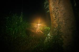 BIB: 
                            <button type="button" onclick="openModal(26381242)" class="btn btn-primary btn-sm float-right btn-popup" data-toggle="modal" data-target=".modal-high-quality">
                        <i class="fas fa-shopping-cart"></i> Add to Cart
                    </button>
                                            <button type="button" onclick="isThisMe(26381242, true)" class="btn btn-success btn-sm float-right btn-popup btn-isme hidden" data-toggle="tooltip" data-placement="bottom" title="นี่คือรูปของคุณใช่ไหม คลิกที่นี่เพื่อเอาเข้าอัลบั้ม">
                        <i class="fas fa-plus"></i> Add to album
                    </button>
                    <button type="button" onclick="isThisMe(26381242, false)" class="btn btn-warning btn-sm float-right btn-popup btn-isnotme hidden">
                        <i class="fas fa-ban"></i> Remove from album
                    </button>