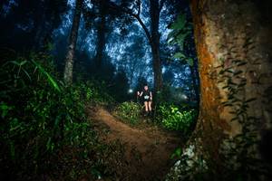 BIB: 
                            <button type="button" onclick="openModal(26383836)" class="btn btn-primary btn-sm float-right btn-popup" data-toggle="modal" data-target=".modal-high-quality">
                        <i class="fas fa-shopping-cart"></i> Add to Cart
                    </button>
                                            <button type="button" onclick="isThisMe(26383836, true)" class="btn btn-success btn-sm float-right btn-popup btn-isme hidden" data-toggle="tooltip" data-placement="bottom" title="นี่คือรูปของคุณใช่ไหม คลิกที่นี่เพื่อเอาเข้าอัลบั้ม">
                        <i class="fas fa-plus"></i> Add to album
                    </button>
                    <button type="button" onclick="isThisMe(26383836, false)" class="btn btn-warning btn-sm float-right btn-popup btn-isnotme hidden">
                        <i class="fas fa-ban"></i> Remove from album
                    </button>