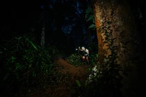 BIB: 
                            <button type="button" onclick="openModal(26383725)" class="btn btn-primary btn-sm float-right btn-popup" data-toggle="modal" data-target=".modal-high-quality">
                        <i class="fas fa-shopping-cart"></i> Add to Cart
                    </button>
                                            <button type="button" onclick="isThisMe(26383725, true)" class="btn btn-success btn-sm float-right btn-popup btn-isme hidden" data-toggle="tooltip" data-placement="bottom" title="นี่คือรูปของคุณใช่ไหม คลิกที่นี่เพื่อเอาเข้าอัลบั้ม">
                        <i class="fas fa-plus"></i> Add to album
                    </button>
                    <button type="button" onclick="isThisMe(26383725, false)" class="btn btn-warning btn-sm float-right btn-popup btn-isnotme hidden">
                        <i class="fas fa-ban"></i> Remove from album
                    </button>