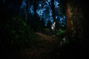 BIB: 
                            <button type="button" onclick="openModal(26383909)" class="btn btn-primary btn-sm float-right btn-popup" data-toggle="modal" data-target=".modal-high-quality">
                        <i class="fas fa-shopping-cart"></i> Add to Cart
                    </button>
                                            <button type="button" onclick="isThisMe(26383909, true)" class="btn btn-success btn-sm float-right btn-popup btn-isme hidden" data-toggle="tooltip" data-placement="bottom" title="นี่คือรูปของคุณใช่ไหม คลิกที่นี่เพื่อเอาเข้าอัลบั้ม">
                        <i class="fas fa-plus"></i> Add to album
                    </button>
                    <button type="button" onclick="isThisMe(26383909, false)" class="btn btn-warning btn-sm float-right btn-popup btn-isnotme hidden">
                        <i class="fas fa-ban"></i> Remove from album
                    </button>