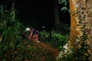 BIB: 
                            <button type="button" onclick="openModal(26381397)" class="btn btn-primary btn-sm float-right btn-popup" data-toggle="modal" data-target=".modal-high-quality">
                        <i class="fas fa-shopping-cart"></i> Add to Cart
                    </button>
                                            <button type="button" onclick="isThisMe(26381397, true)" class="btn btn-success btn-sm float-right btn-popup btn-isme hidden" data-toggle="tooltip" data-placement="bottom" title="นี่คือรูปของคุณใช่ไหม คลิกที่นี่เพื่อเอาเข้าอัลบั้ม">
                        <i class="fas fa-plus"></i> Add to album
                    </button>
                    <button type="button" onclick="isThisMe(26381397, false)" class="btn btn-warning btn-sm float-right btn-popup btn-isnotme hidden">
                        <i class="fas fa-ban"></i> Remove from album
                    </button>