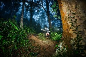 BIB: 
                            <button type="button" onclick="openModal(26383792)" class="btn btn-primary btn-sm float-right btn-popup" data-toggle="modal" data-target=".modal-high-quality">
                        <i class="fas fa-shopping-cart"></i> Add to Cart
                    </button>
                                            <button type="button" onclick="isThisMe(26383792, true)" class="btn btn-success btn-sm float-right btn-popup btn-isme hidden" data-toggle="tooltip" data-placement="bottom" title="นี่คือรูปของคุณใช่ไหม คลิกที่นี่เพื่อเอาเข้าอัลบั้ม">
                        <i class="fas fa-plus"></i> Add to album
                    </button>
                    <button type="button" onclick="isThisMe(26383792, false)" class="btn btn-warning btn-sm float-right btn-popup btn-isnotme hidden">
                        <i class="fas fa-ban"></i> Remove from album
                    </button>