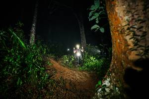 BIB: 
                            <button type="button" onclick="openModal(26383251)" class="btn btn-primary btn-sm float-right btn-popup" data-toggle="modal" data-target=".modal-high-quality">
                        <i class="fas fa-shopping-cart"></i> Add to Cart
                    </button>
                                            <button type="button" onclick="isThisMe(26383251, true)" class="btn btn-success btn-sm float-right btn-popup btn-isme hidden" data-toggle="tooltip" data-placement="bottom" title="นี่คือรูปของคุณใช่ไหม คลิกที่นี่เพื่อเอาเข้าอัลบั้ม">
                        <i class="fas fa-plus"></i> Add to album
                    </button>
                    <button type="button" onclick="isThisMe(26383251, false)" class="btn btn-warning btn-sm float-right btn-popup btn-isnotme hidden">
                        <i class="fas fa-ban"></i> Remove from album
                    </button>