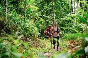 BIB: 
                            <button type="button" onclick="openModal(26365857)" class="btn btn-primary btn-sm float-right btn-popup" data-toggle="modal" data-target=".modal-high-quality">
                        <i class="fas fa-shopping-cart"></i> Add to Cart
                    </button>
                                            <button type="button" onclick="isThisMe(26365857, true)" class="btn btn-success btn-sm float-right btn-popup btn-isme hidden" data-toggle="tooltip" data-placement="bottom" title="นี่คือรูปของคุณใช่ไหม คลิกที่นี่เพื่อเอาเข้าอัลบั้ม">
                        <i class="fas fa-plus"></i> Add to album
                    </button>
                    <button type="button" onclick="isThisMe(26365857, false)" class="btn btn-warning btn-sm float-right btn-popup btn-isnotme hidden">
                        <i class="fas fa-ban"></i> Remove from album
                    </button>